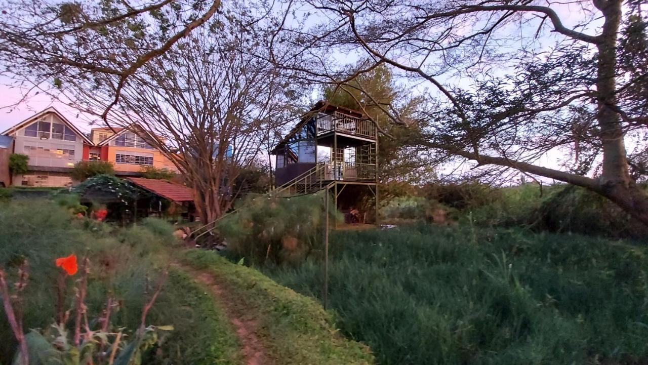 Yellow Haven Lodge Kampala Eksteriør bilde