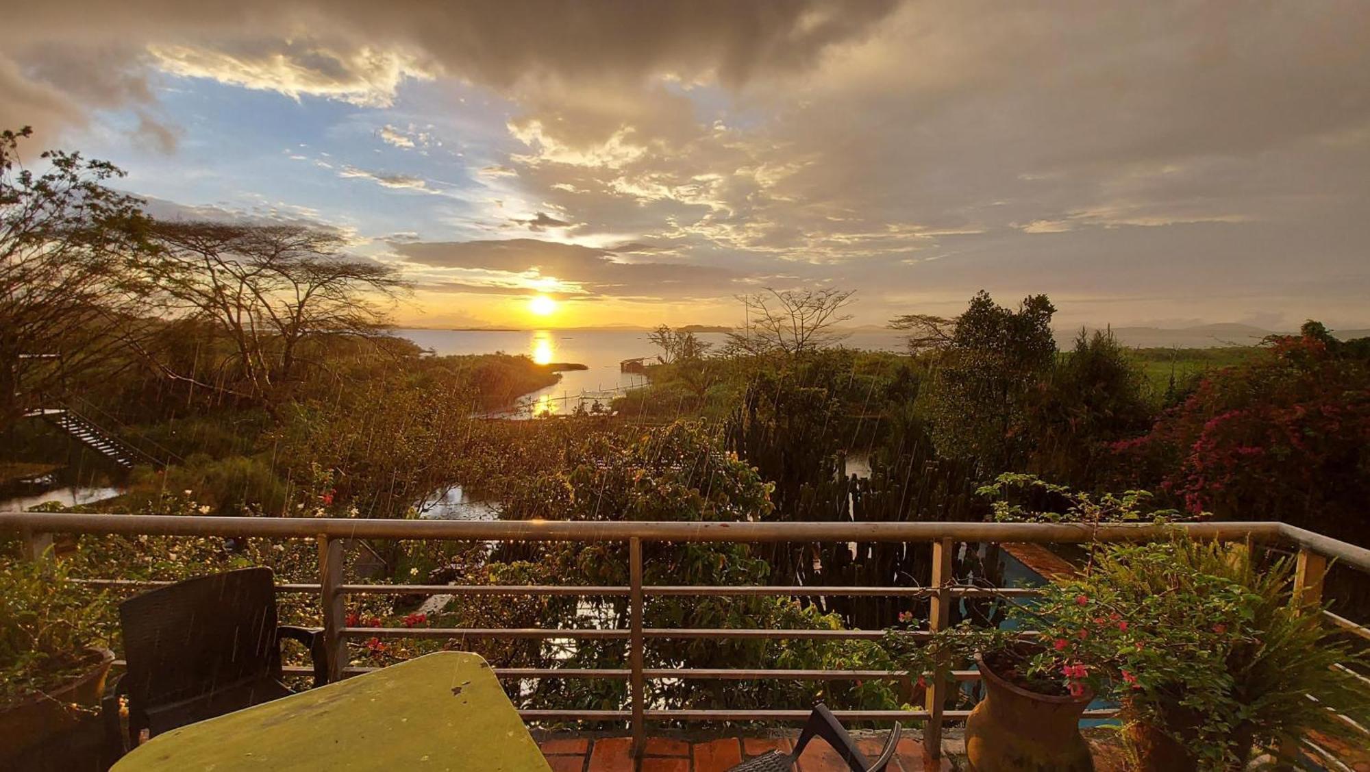 Yellow Haven Lodge Kampala Eksteriør bilde