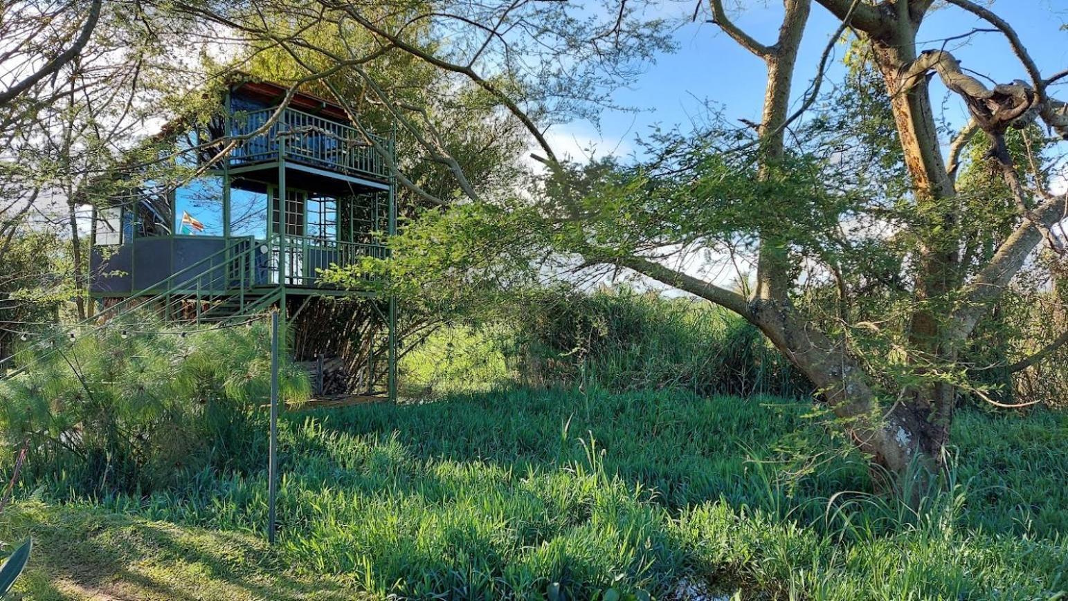 Yellow Haven Lodge Kampala Eksteriør bilde